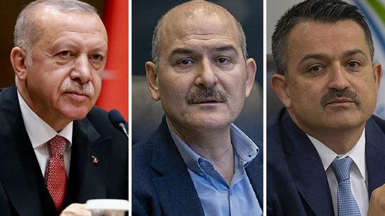 Erdoğan, Soylu ve Pakdemirli hakkında suç duyurusu
