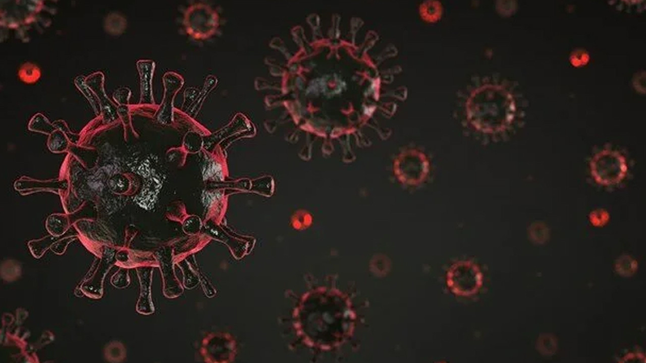 Korkutan araştırma: Koronavirüs en uzun korona hastasında 40 kez mutasyona uğradı