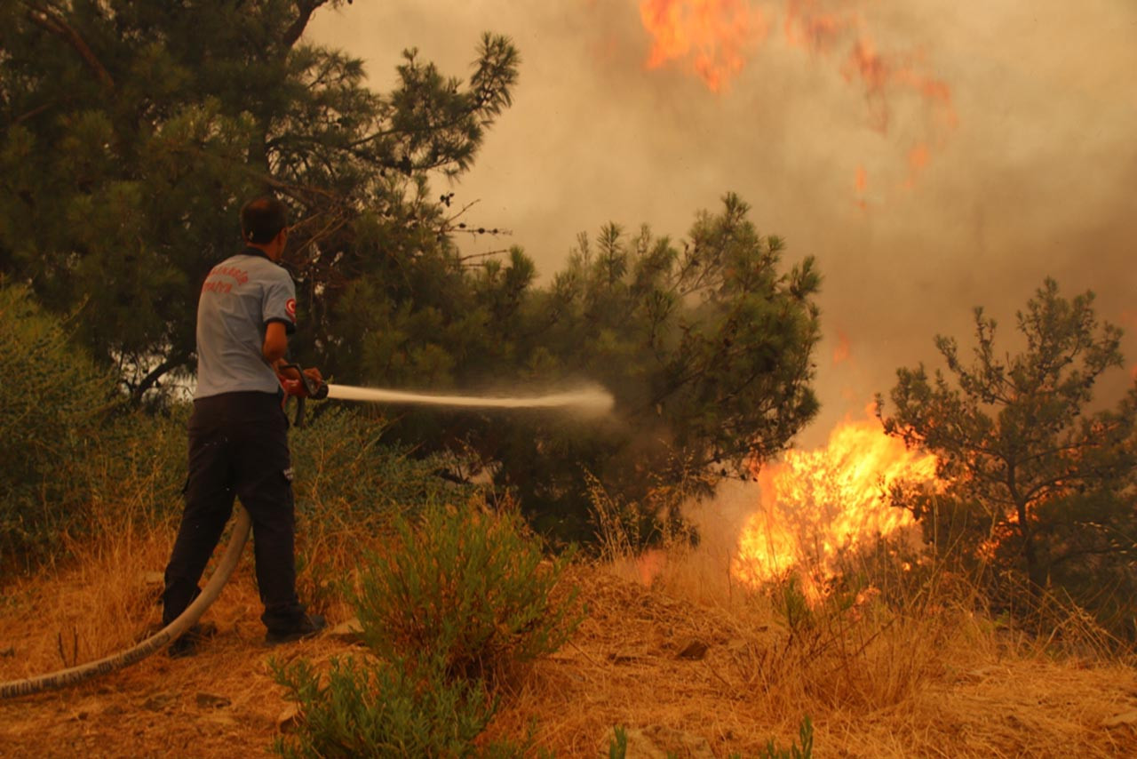 İzmir'de 2 noktada orman yangını