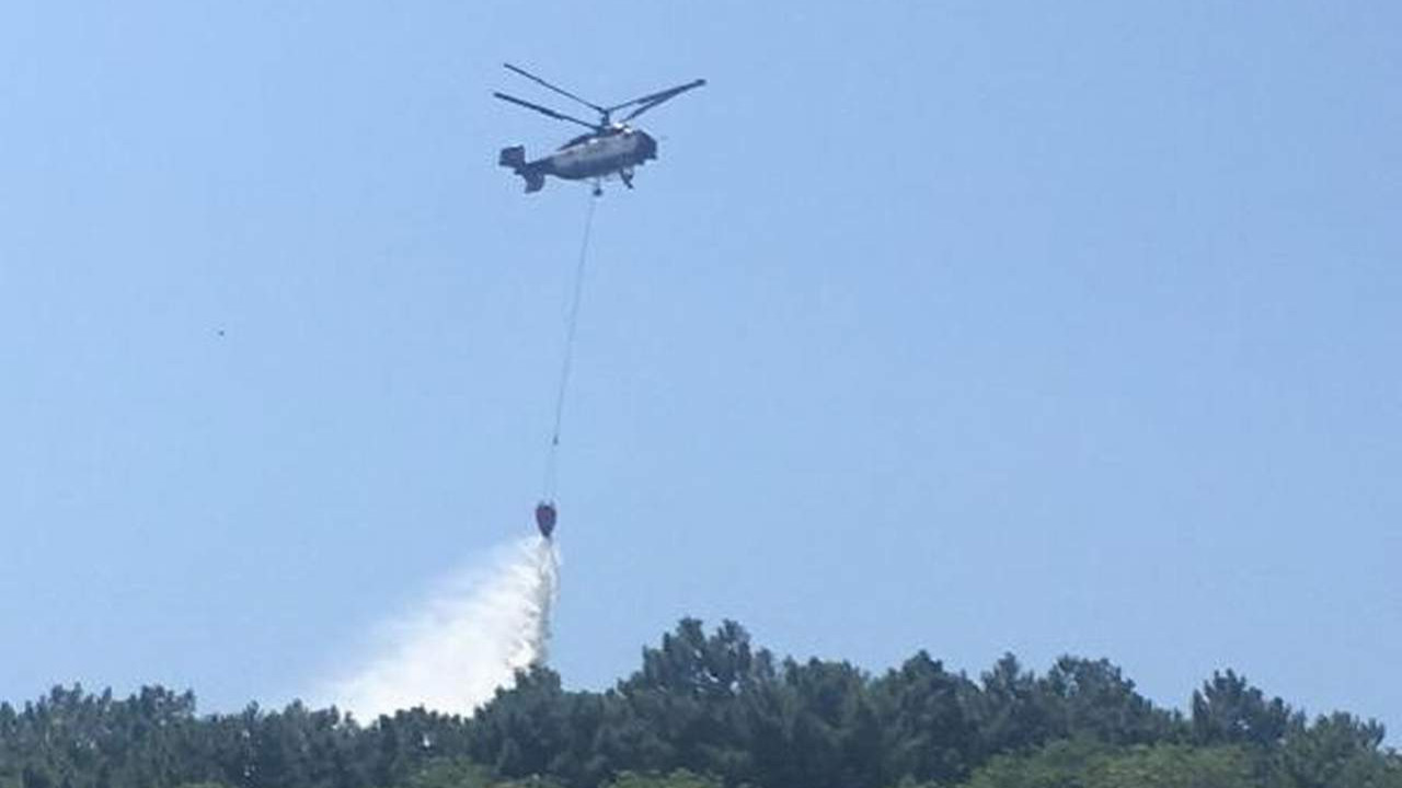 İstanbul Beykoz'da korkutan orman yangını!