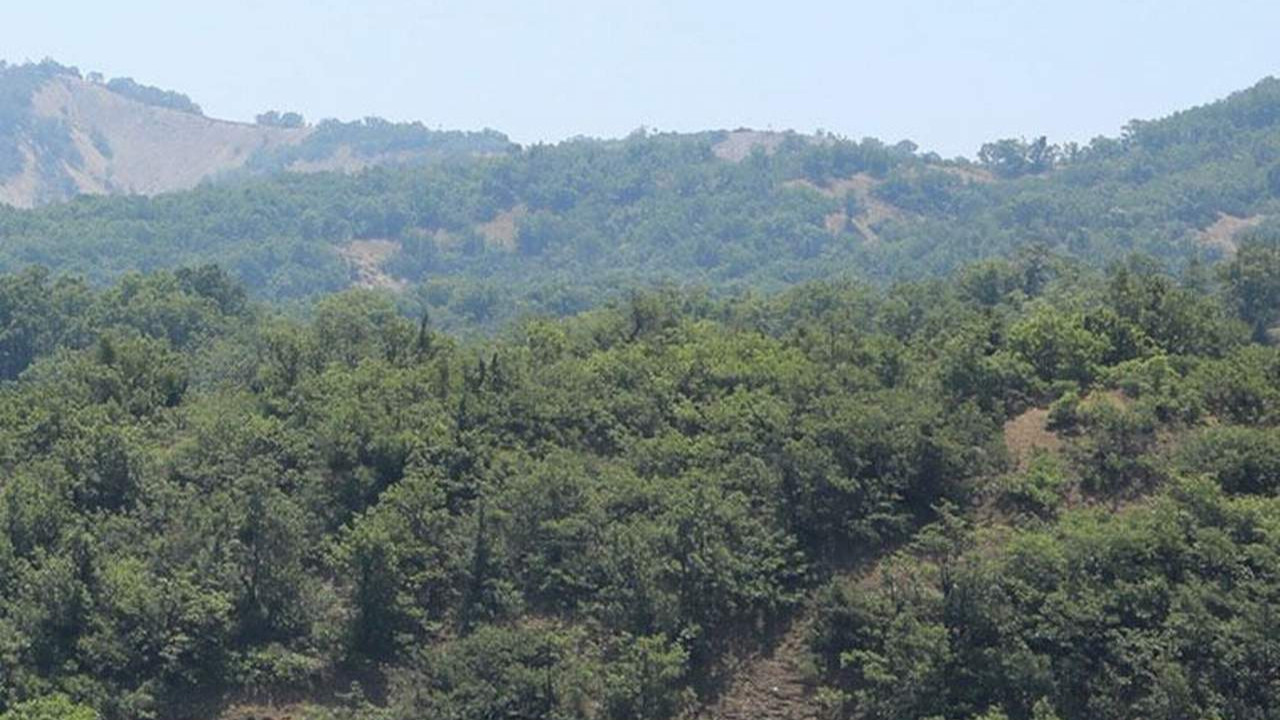 Bir ilde daha ormanlık alanlara giriş yasaklandı
