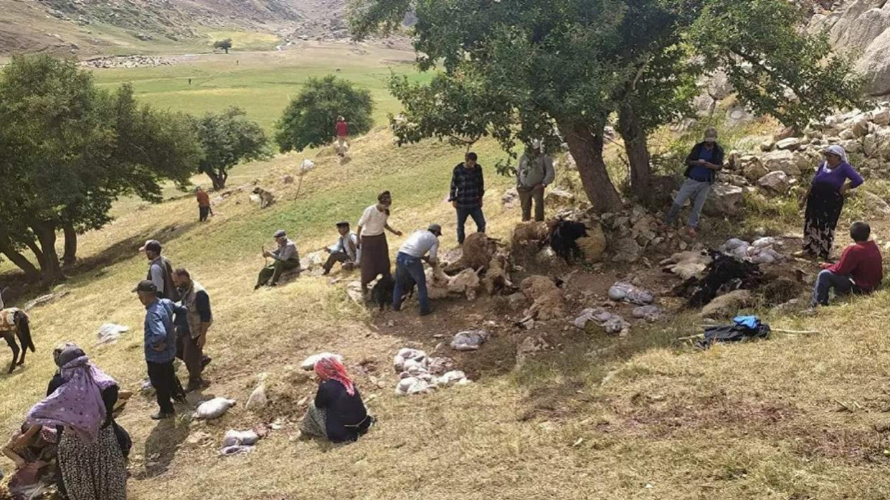 Yıldırım isabet eden 30 koyun öldü