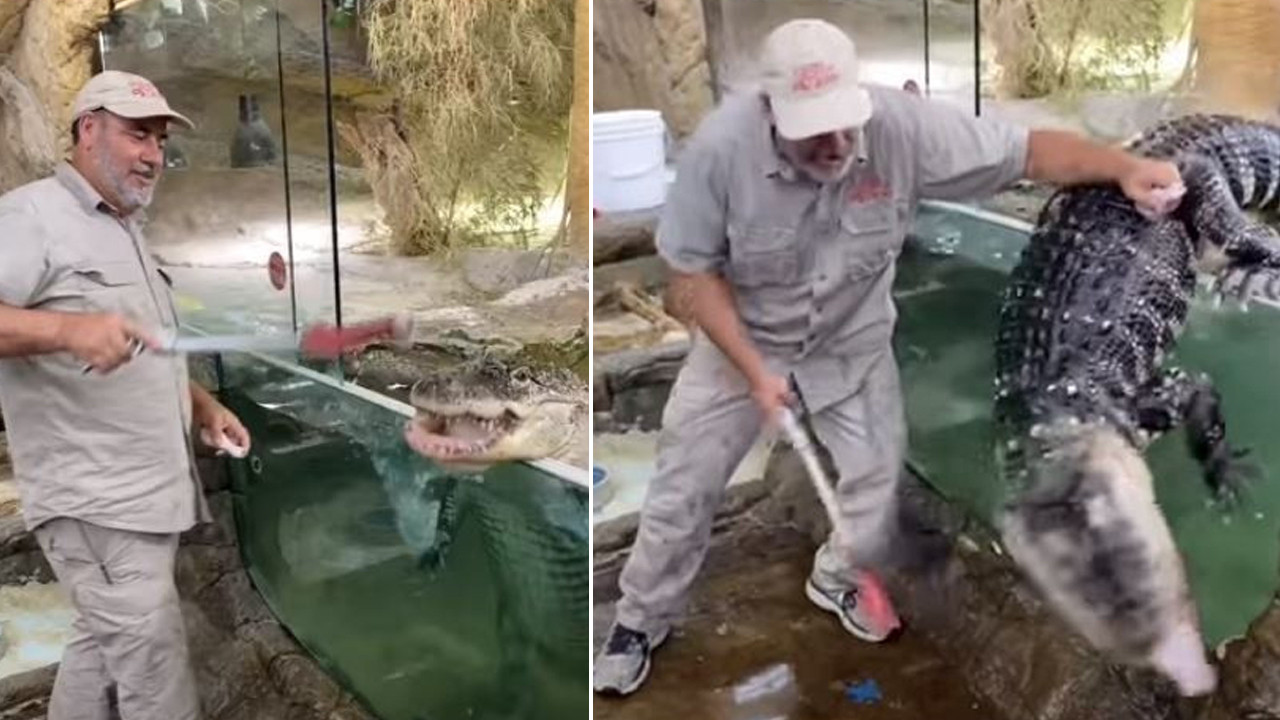 Hayvanat bahçesinde korku dolu anlar