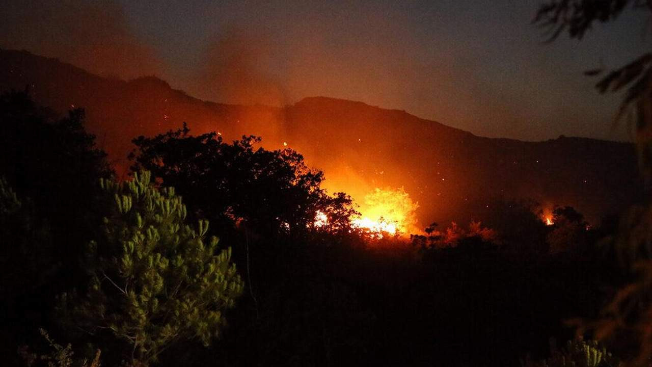 Bakan müjdeyi verdi: Bodrum'daki orman yangını kontrol altında