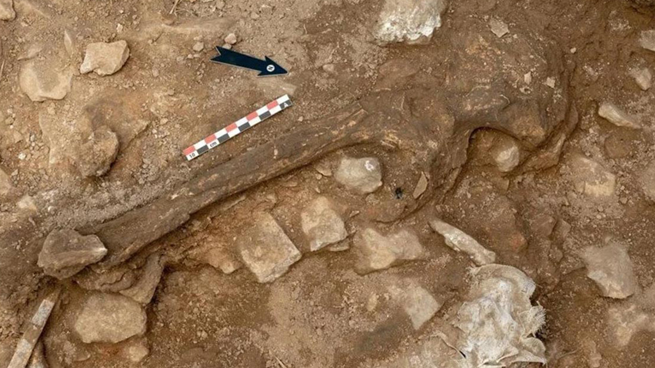 14 bin yıl önce yaşayan bir kadının iskeleti bulundu