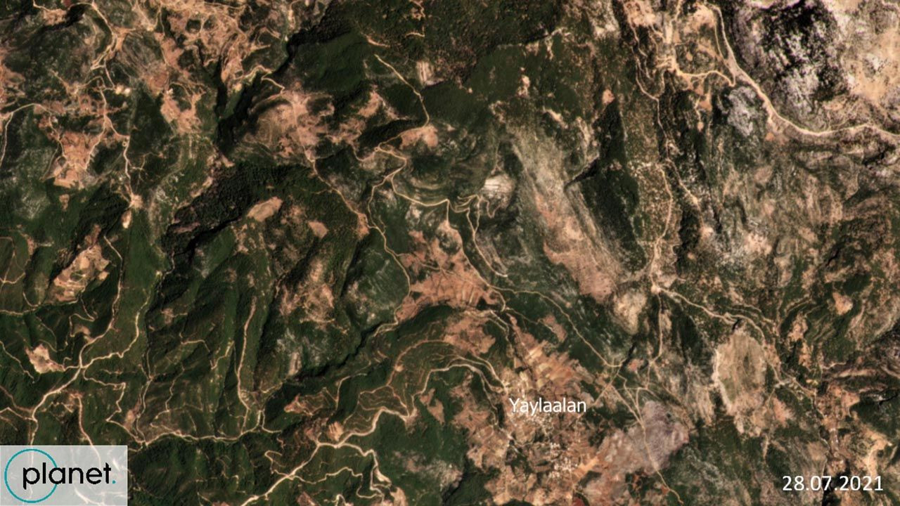 250 bin futbol sahası büyüklüğünde: Yanan ormanlar uydudan görüntülendi - Resim: 1