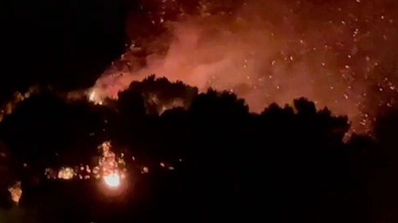 İstanbul'da kamp ateşi ormana sıçradı