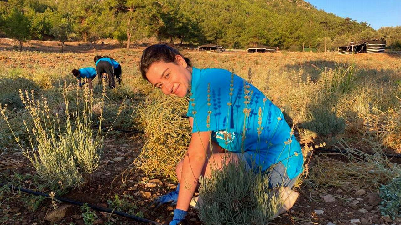 Bodrum'da Gençlik Tarım Kampı 3. dönem başladı
