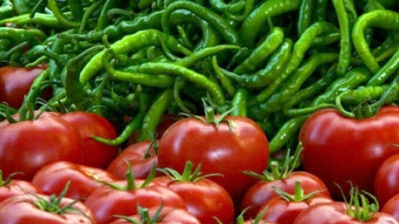 Domatesin fiyatı 10 lirayı geçti