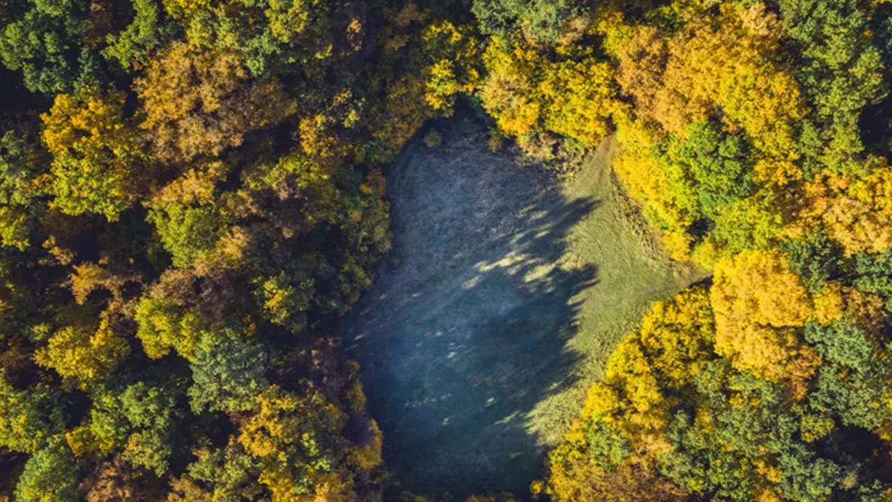 Dünyanın en gizemli yeri: Transilvanya’nın ‘Bermuda Üçgeni’ olarak bilinen esrarengiz ormanı...