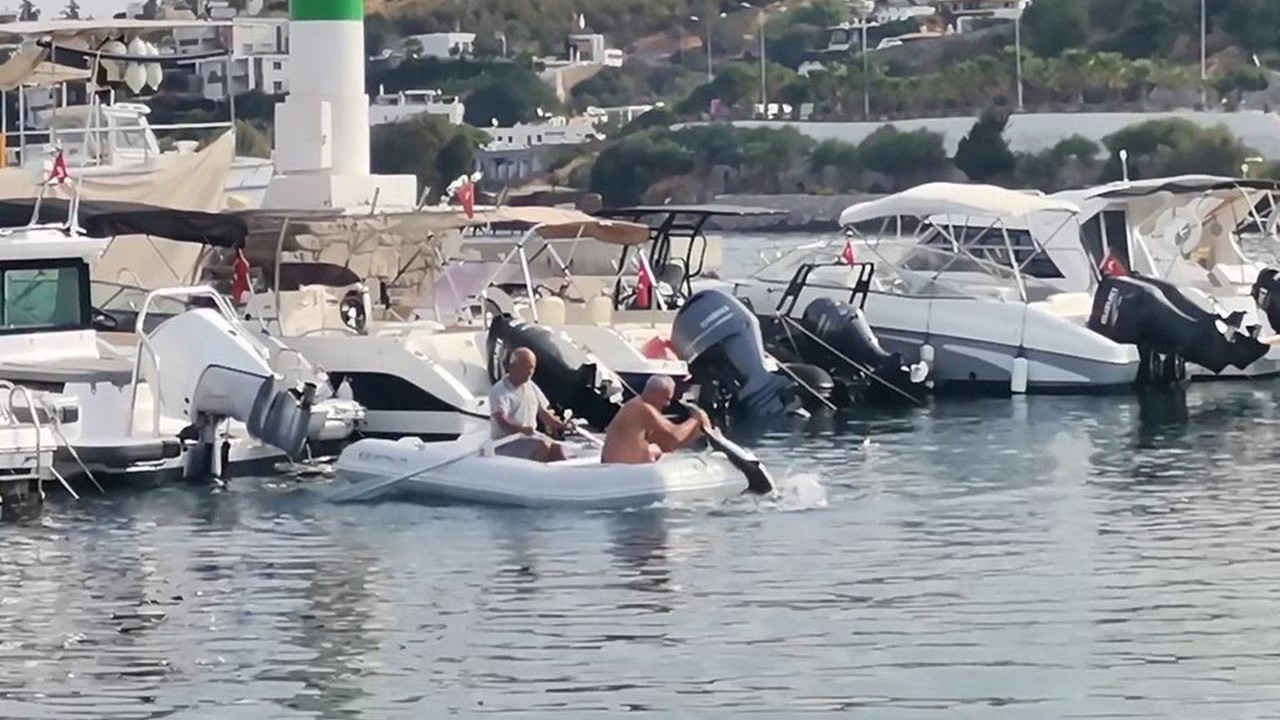 Bodrum'da ilginç anlar: Köpekbalığını elleriyle yakaladı!