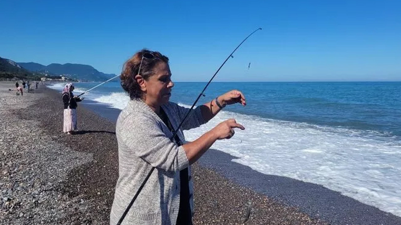 Poyraz bereketiyle geldi: Oltayı atan kova kova balık tutuyor