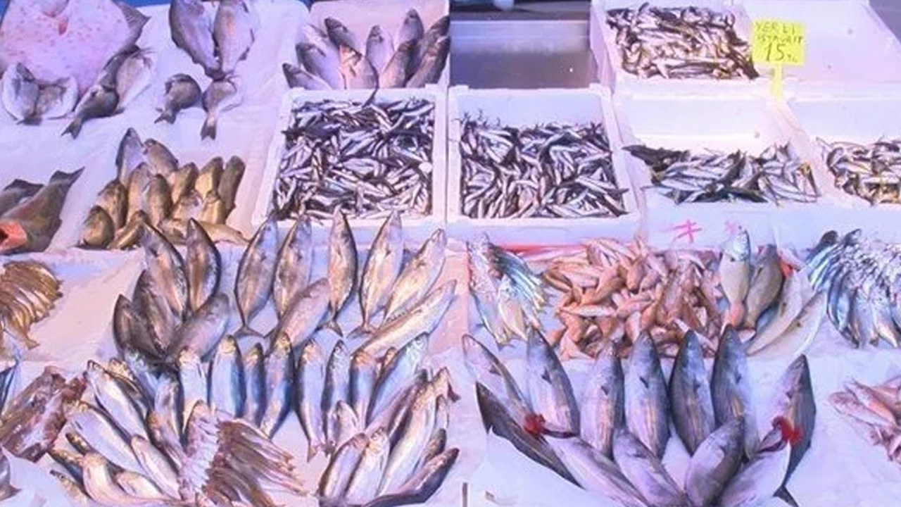 Karadeniz'de ''hamsi'' göründü