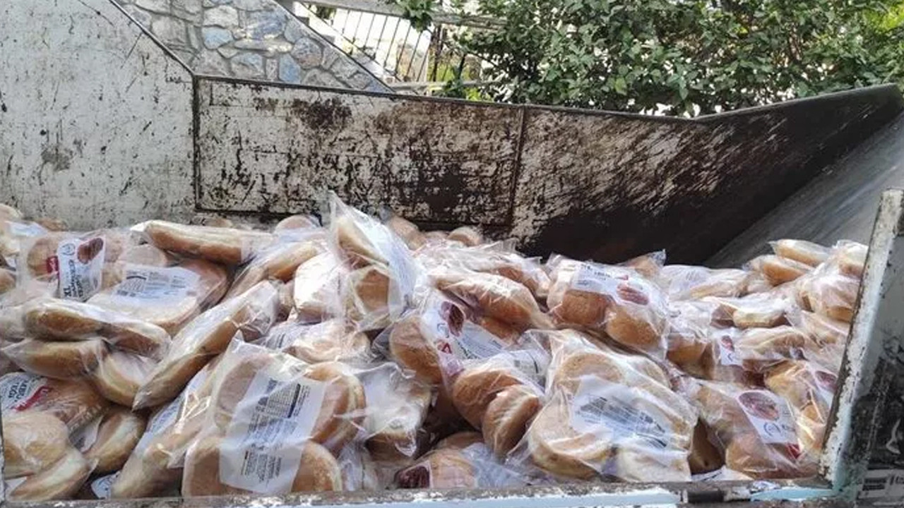 Bodrum'da şoke eden görüntü: Tarihi geçmiş hamburger ekmeklerine el koyuldu
