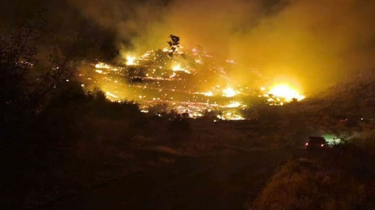 Muğla'da korkutan yangın! Rüzgarla büyüdü