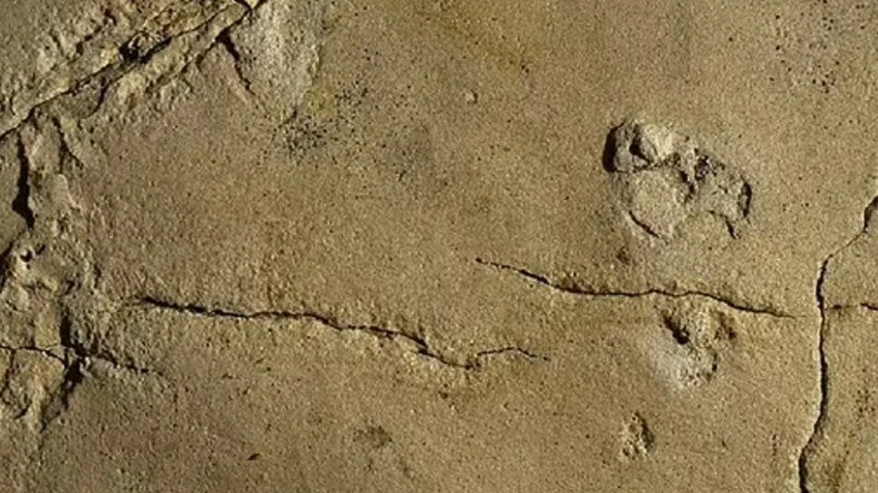 İnsanlığa ait bilinen en eski ayak izi keşfedildi