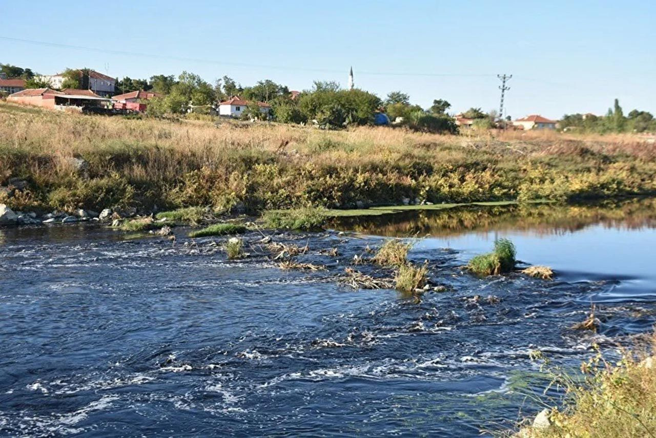 Trakya'nın can damarı Ergene, kanalizasyona döndü - Resim: 2