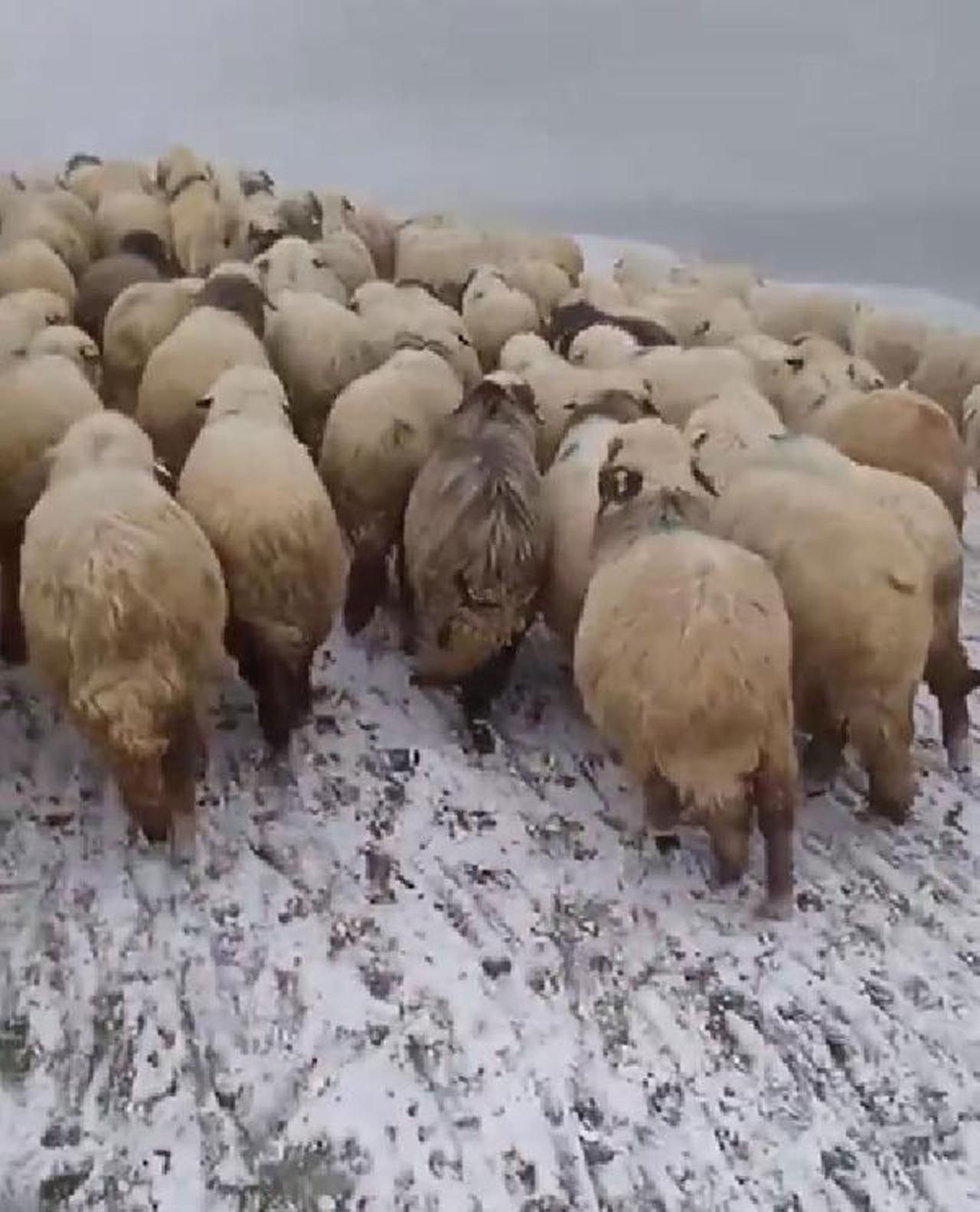 Meteoroloji uyarmıştı... Kar yağışı başladı! - Resim: 2