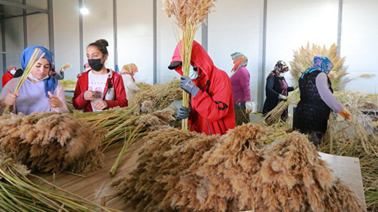 Köyüne kurduğu tesis 100 kadına ekmek kapısı oldu