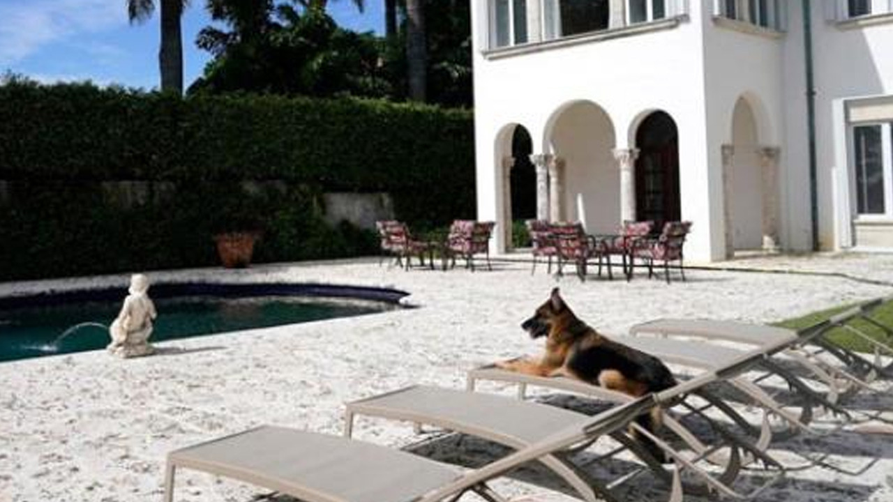 Dünyanın en zengin köpeği! Villasını satıyor