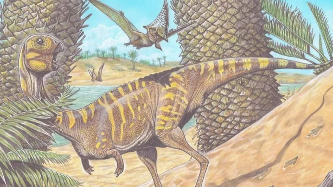 70 milyon yıl önce yaşamış yeni bir dinozor türü bulundu