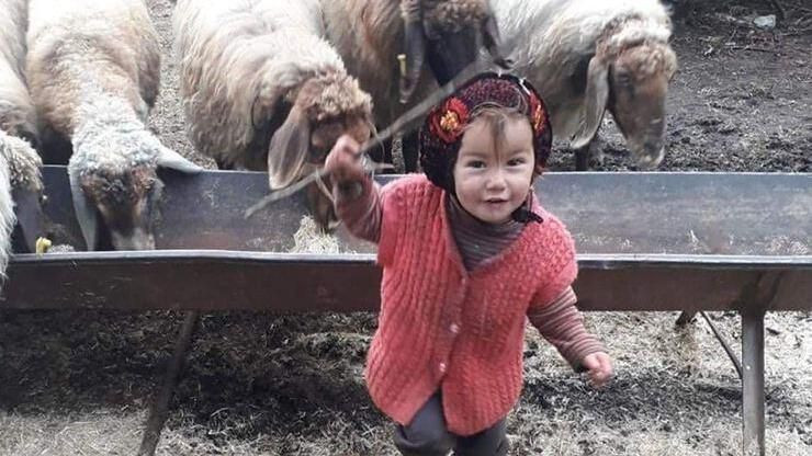 Müslüme'nin ölümüyle ilgili bir kişi tutuklandı