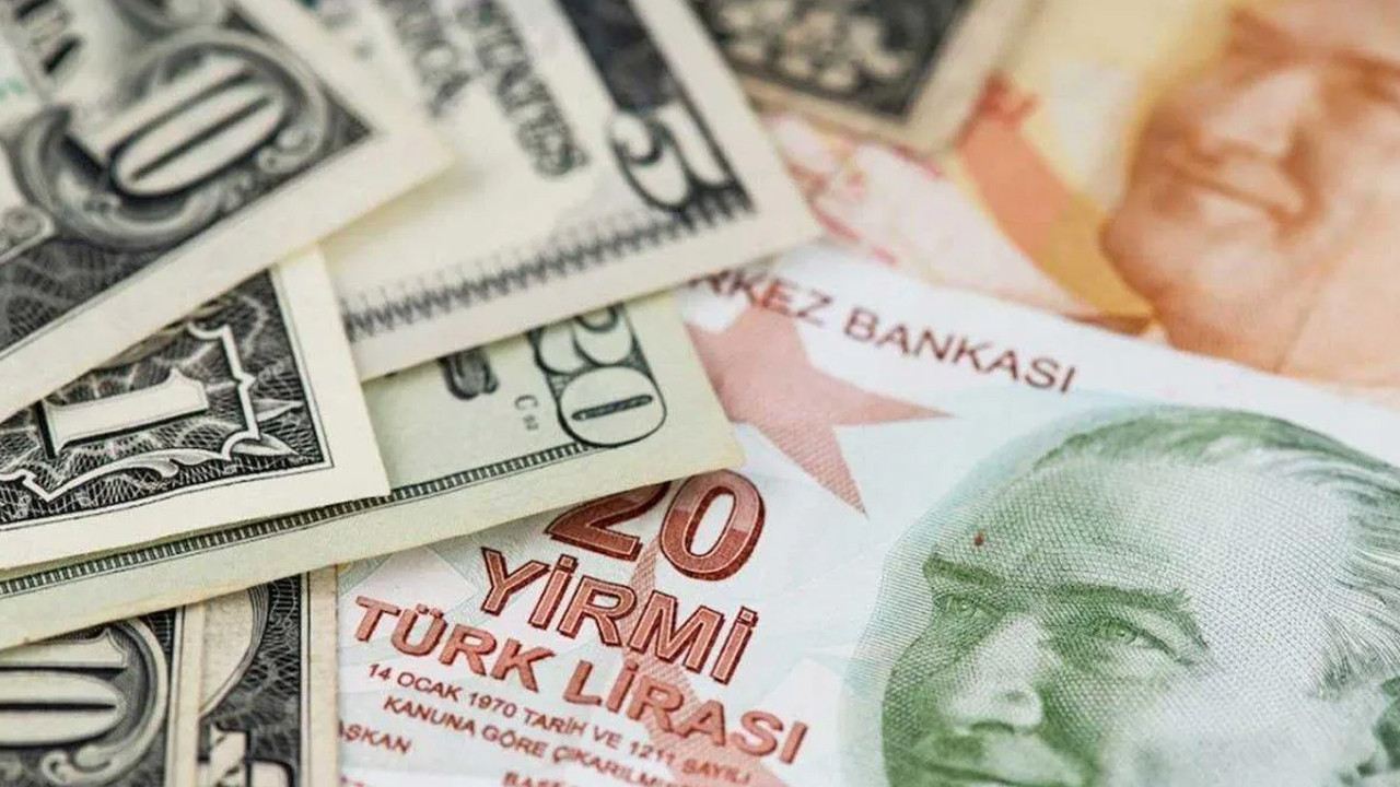 Ünlü ekonomistten çarpıcı dolar yorumu: Türk lirası henüz dayak yemedi...