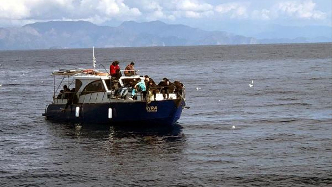 48 kaçak göçmen daha kurtarıldı