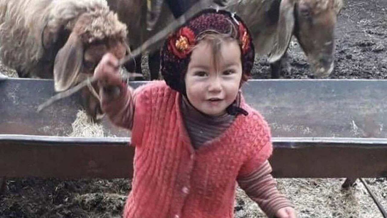Müslüme olayında bir rezalet daha: Tecavüzden dünyaya gelen çocuğunu taciz etmiş! - Resim: 1
