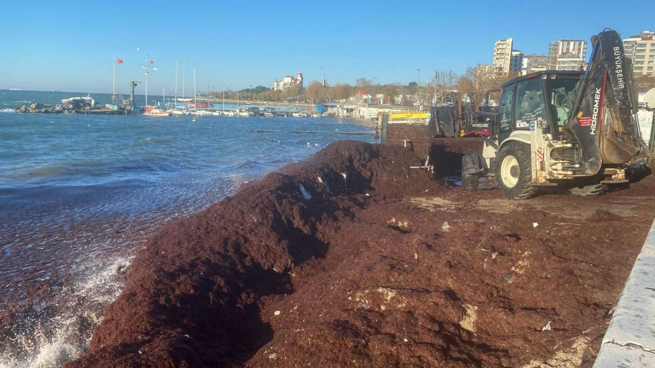 İstanbul sahilinde korkutan görüntü! Sahil şeridi kıpkırmızı! - Resim: 1