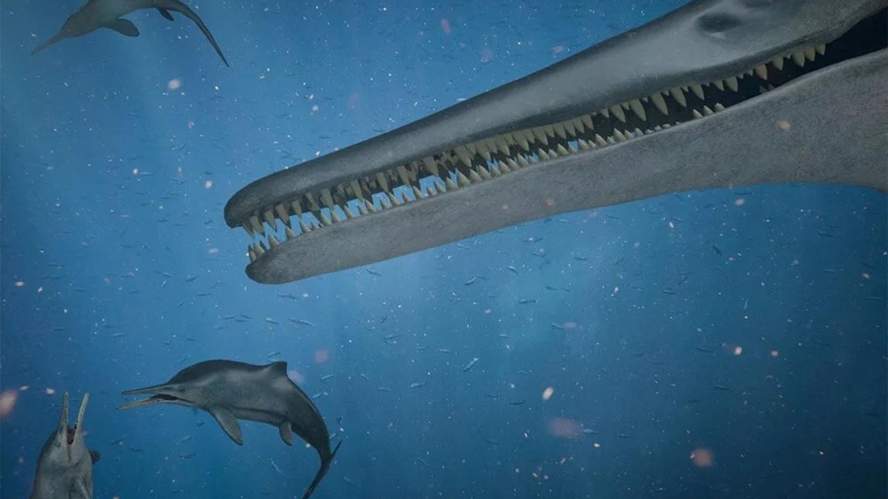 Yunus ve balina katili: Devasa bir canavar keşfedildi