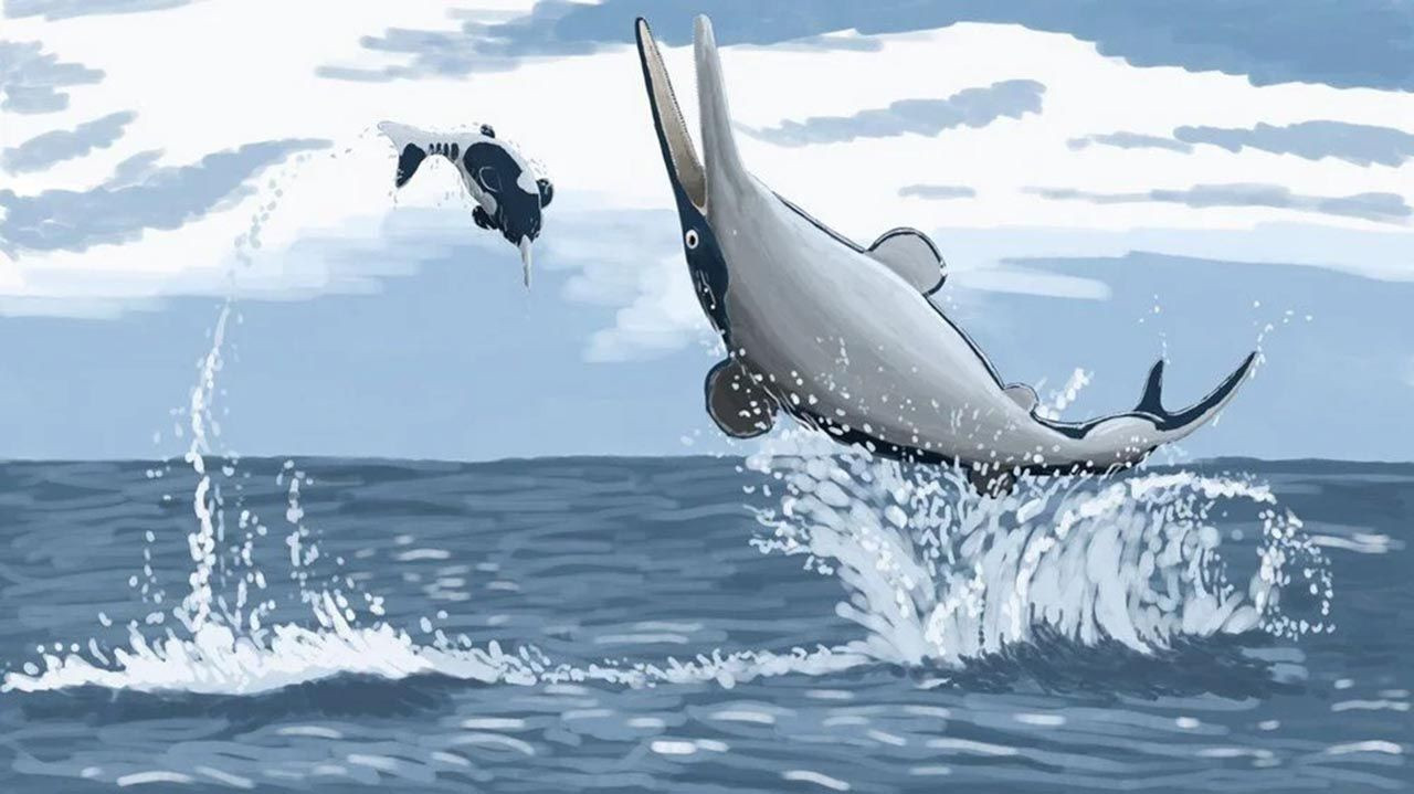 Yunus ve balina katili: Devasa bir canavar keşfedildi - Resim: 3