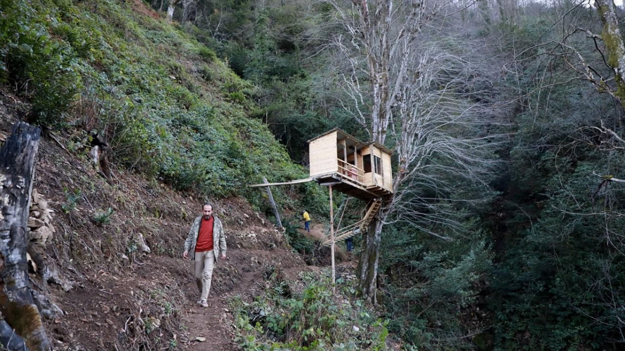 Şehrin karmaşasından uzakta bu evi yaptı! Elektriği bile var... - Resim: 2