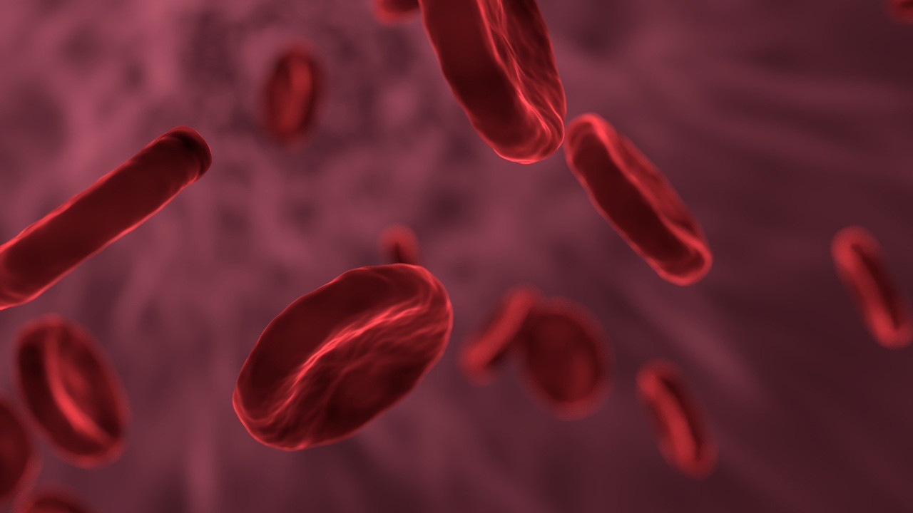 Koronavirüste en riskli kan grupları açıklandı