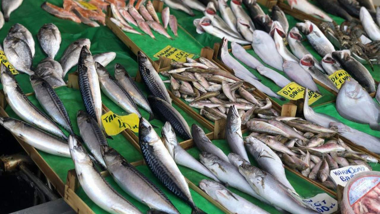 Herkesin gözü tezgahlarda: Balık fiyatları da düşecek mi ?