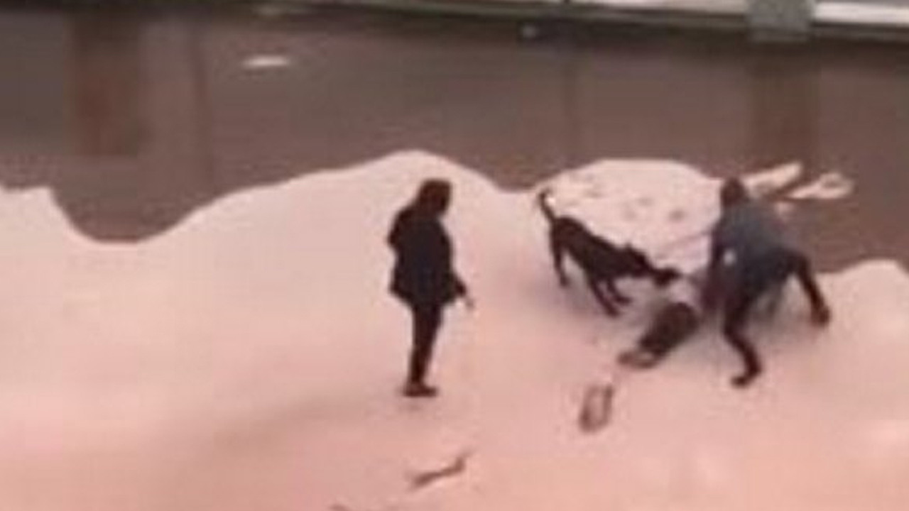 Pitbull saldırısına uğrayan Asiye'nin ailesine büyük şok