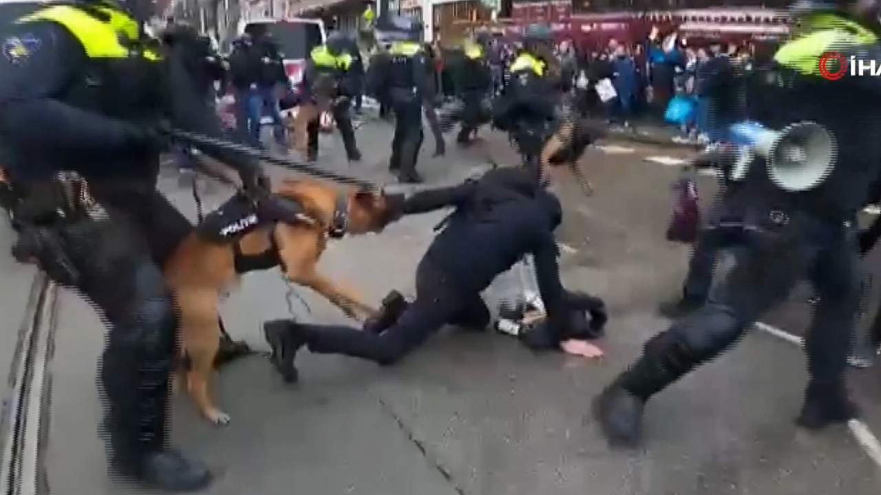 Skandal görüntüler! Polis, köpeklerle göstericilere saldırdı