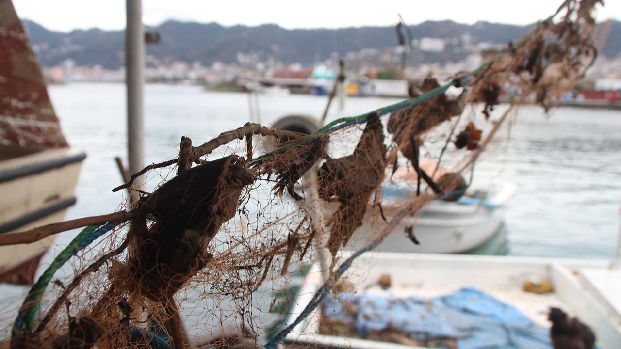 Karadeniz'de kırmızı alarm! Balık ağları balık yerine çöp doldu