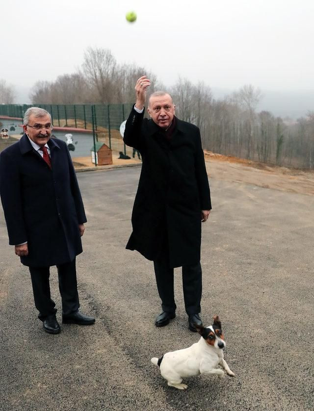 Cumhurbaşkanı Erdoğan'dan hayvan barınağına ziyaret - Resim: 3