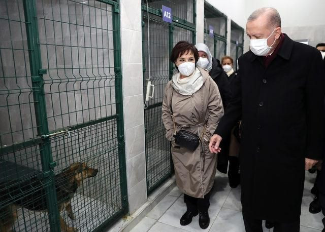 Cumhurbaşkanı Erdoğan'dan hayvan barınağına ziyaret - Resim: 4