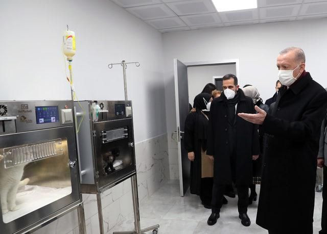 Cumhurbaşkanı Erdoğan'dan hayvan barınağına ziyaret - Resim: 1