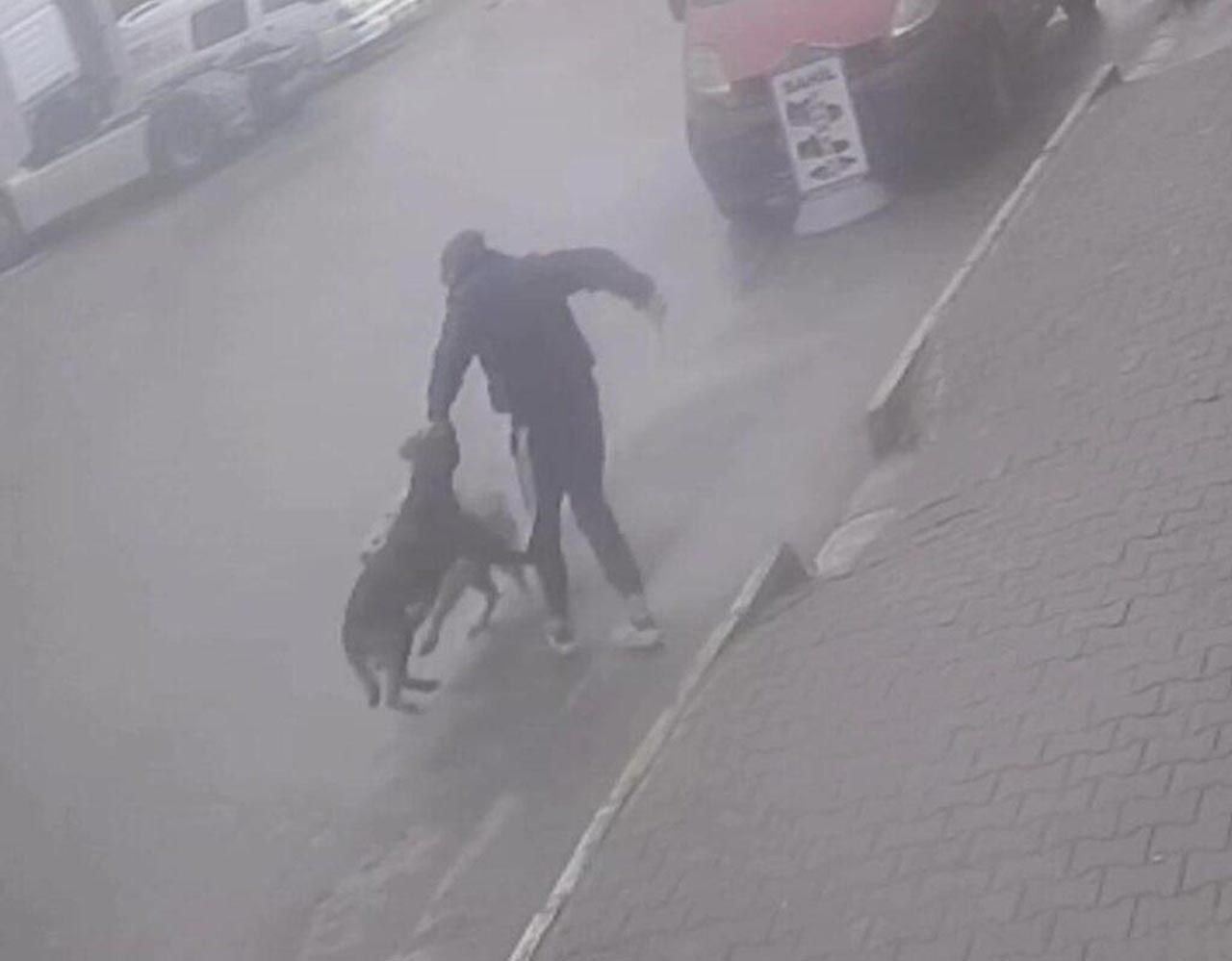 Köpeğine saldıran sokak köpeğini böyle bıçakladı - Resim: 3