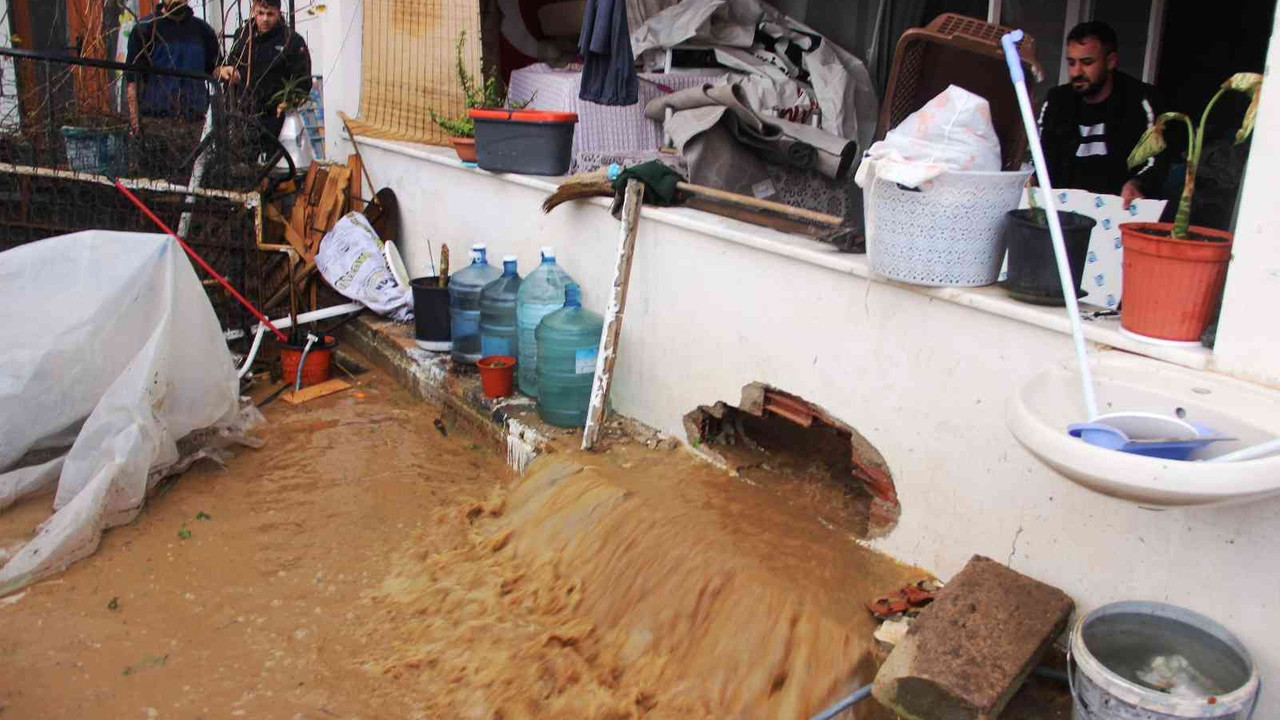 Bodrum’da sel faciası! Evleri su bastı, sokak hayvanları boğuldu
