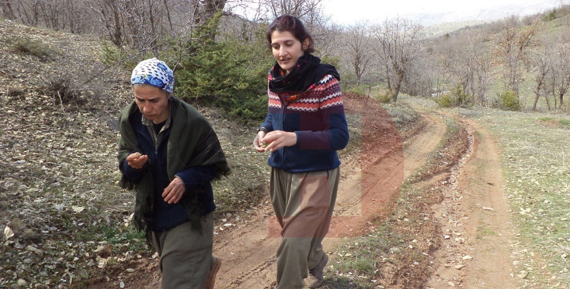 PKK kampına giden HDP'li vekilin yeni fotoğrafları ortaya çıktı - Resim: 1