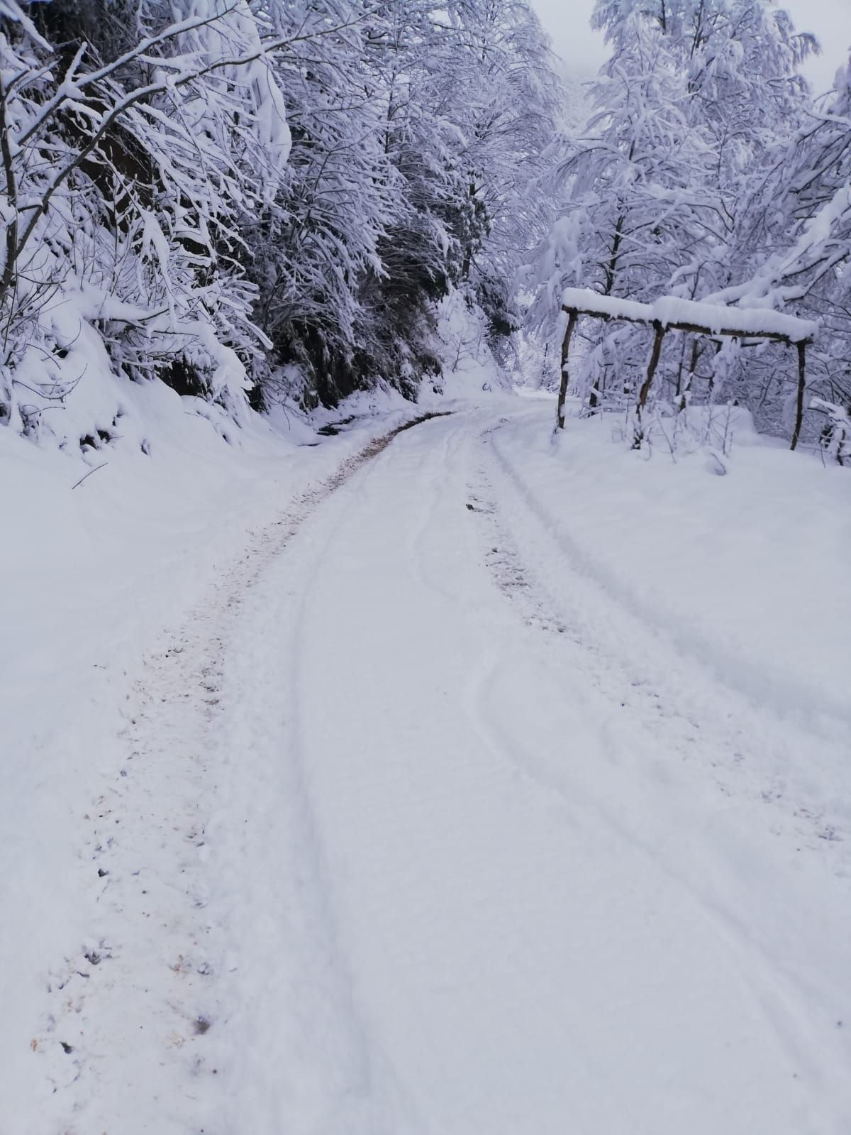 Doğu Karadeniz karlar altında! Yüzlerce köy yolu ulaşıma kapandı - Resim: 2