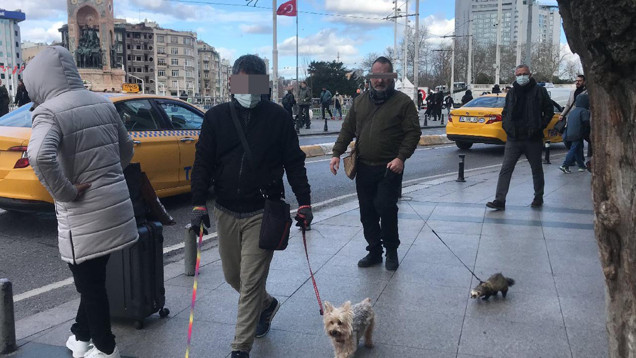 Taksim'de boynuna tasma takıp gezdirdi, gören dönüp bir daha baktı!