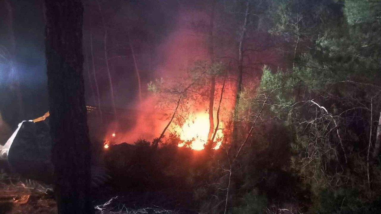 Muğla’da kış ortasında orman yangını