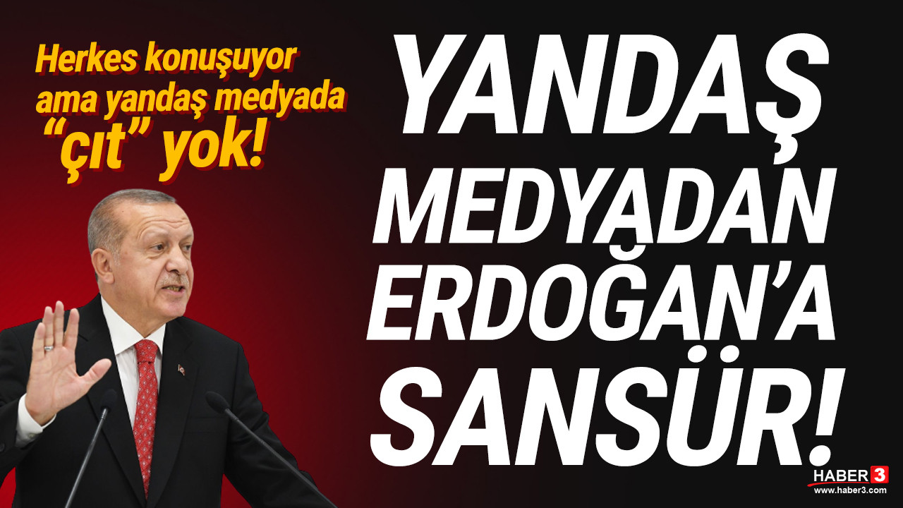 Yandaş medya, Erdoğan'ın olay olan sözlerini duymadı