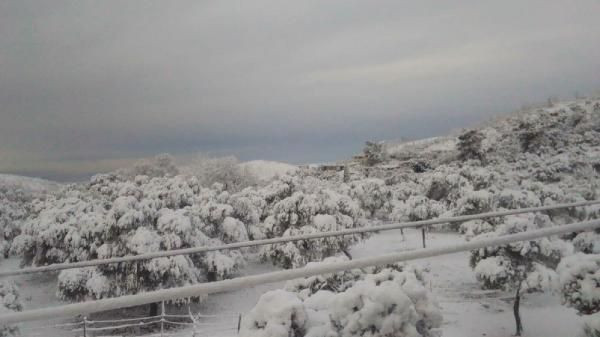 Tatil cenneti Bodrum beyaza büründü - Resim: 1