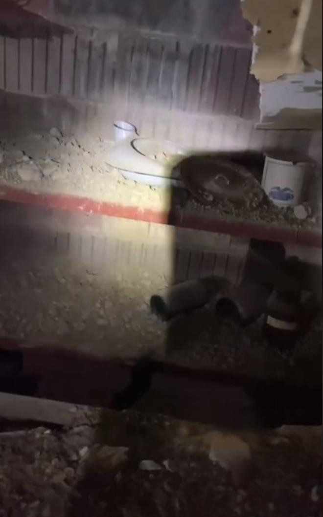 Evindeki gizemli geçidin kapağını açınca gözlerine inanamadı - Resim: 4